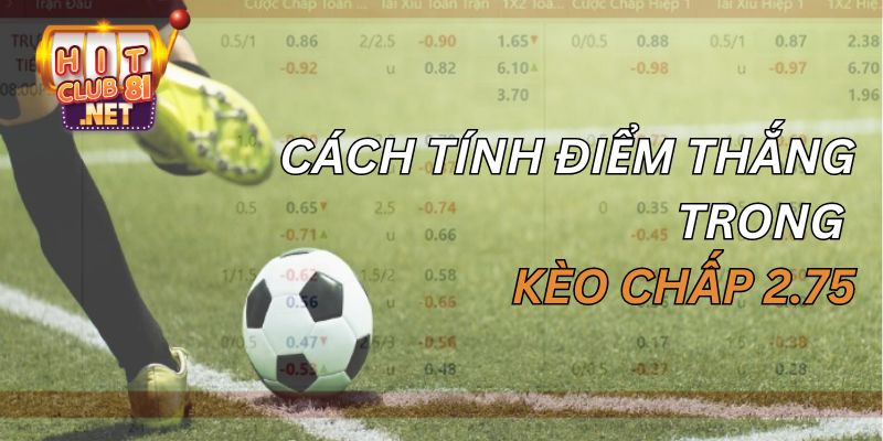 Cách tính điểm trong kèo chấp 2,75 khá dễ hiểu